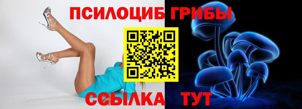 Ишимбай  Псилоцибиновые грибы Cubensis  Псилоцибиновые грибы GOLDEN TEACHER  Вход с VPN 